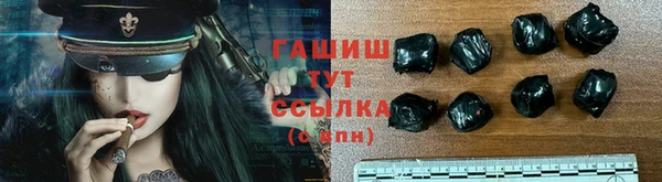 мдпв Бородино