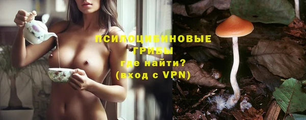 прущие грибы Верхнеуральск