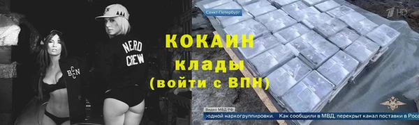 амф Верея