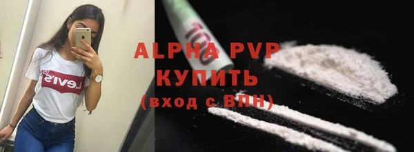 амф Верея