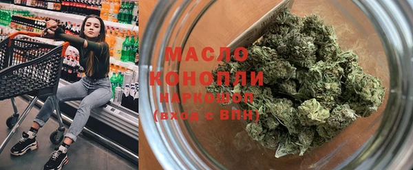 мдпв Бородино
