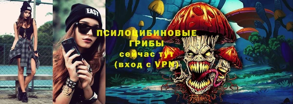 ГАЛЛЮЦИНОГЕННЫЕ ГРИБЫ Бронницы