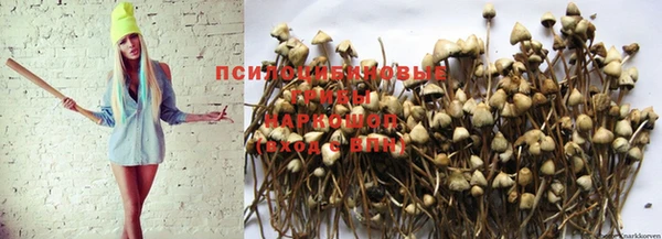 мдпв Бородино