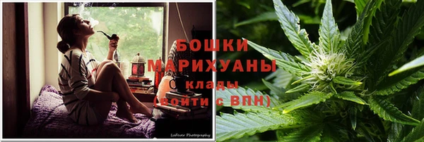 мдпв Бородино