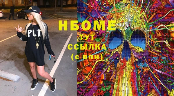 мдпв Бородино