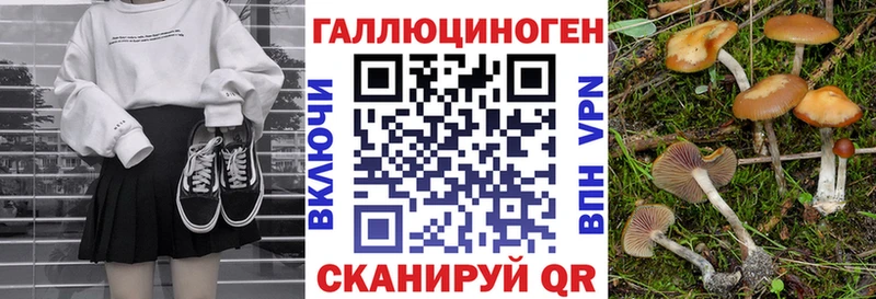 Псилоцибиновые грибы GOLDEN TEACHER купить цена Ульяновск